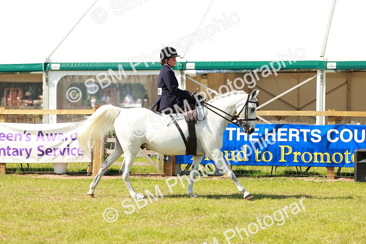 SBM_13184 - Class 70-71 - Side Saddle