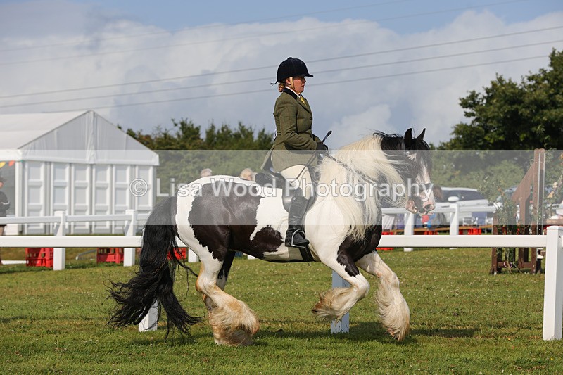 1X9A3267 - Class 28: Ridden Native/Trad Coloured Pony