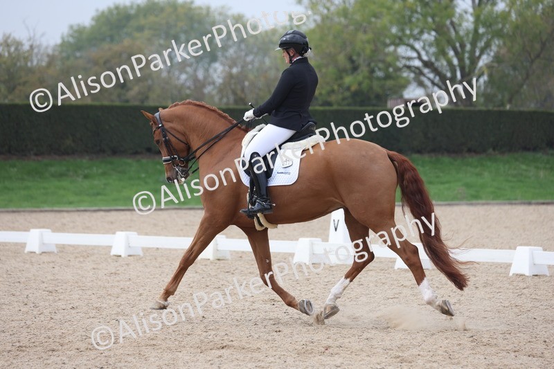 20251012-0793 - Class 9 - Advanced Medium 3