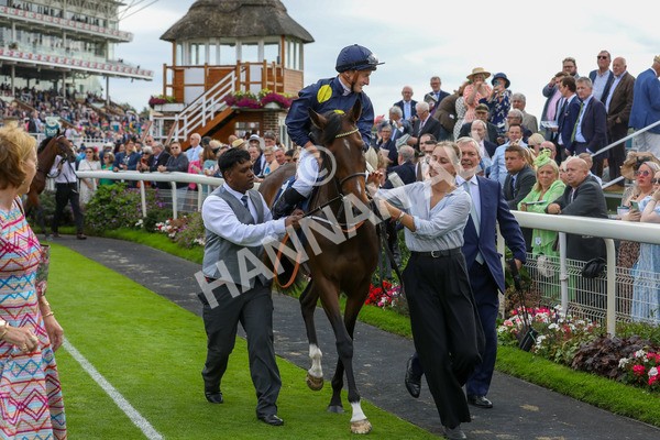240823-Race 5-Sea Theme-5350 - Race 5 4.10pm British EBF & Sir Henry Cecil Galtres Stakes