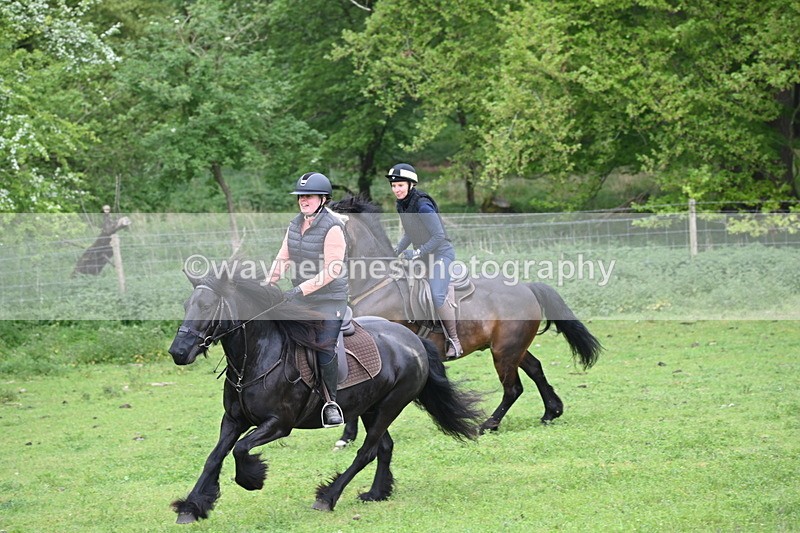 WJ6_2680 - A camera