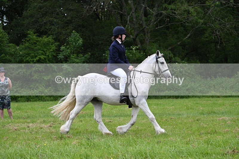 WJ7_2079 - Class 12A Coloured Class
