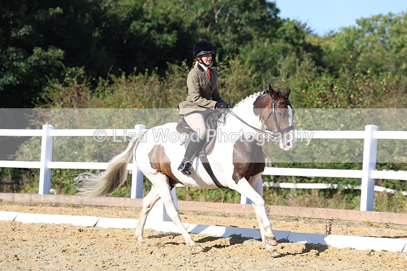 3E7A5292 - Class 8: Small Ridden Hunter