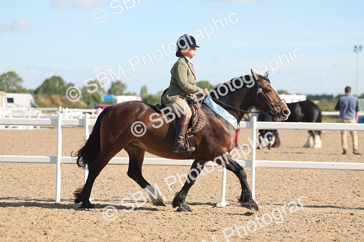 SBM_12449 - Class 304 - Ridden part Bred Horse Pony