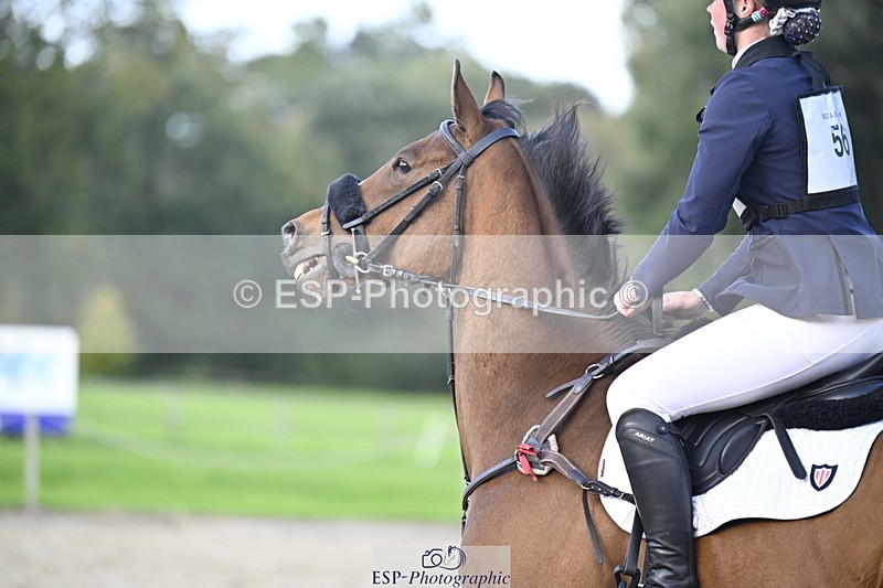 251005A-160904-05008 - Cls 10 Int 90-95cm