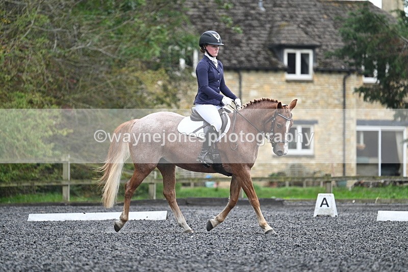 WJ7_3703 - Time 11:04 to 11:38