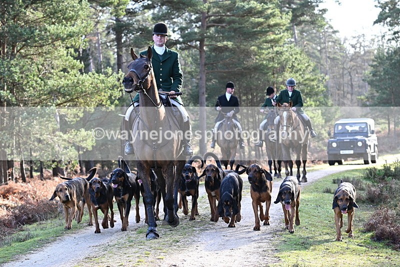 WJ7_7707 - Line 3 (no line 4 or 5)