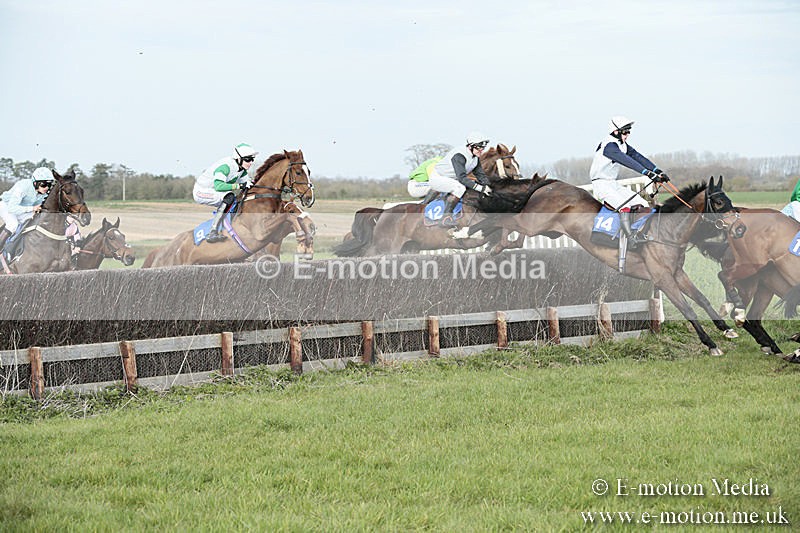 PtP 230319 427 - VWH Hunt Siddington Point-to-Point Racing 23/03/19