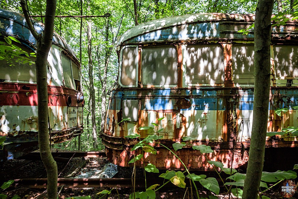 Trolley Graveyard | Sun-Dappled - The Trolley Graveyard