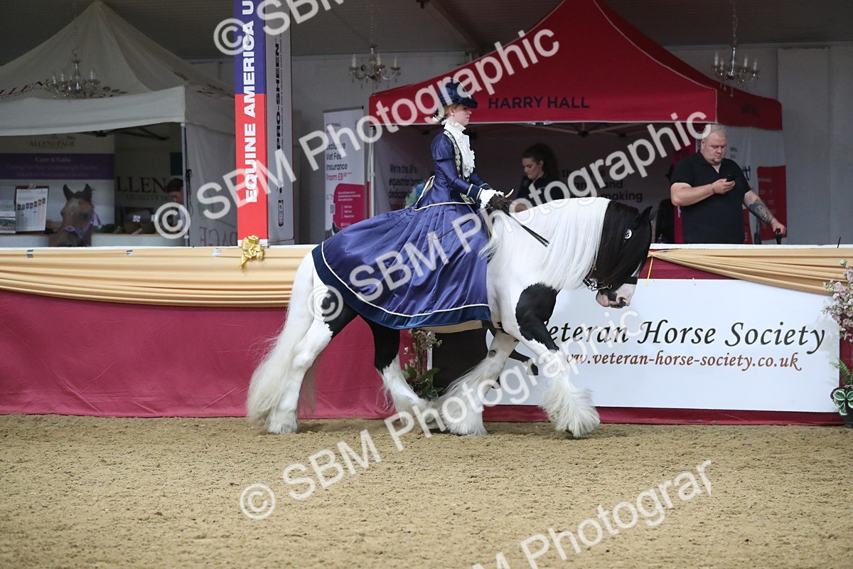 SBM_11962 - Class 106 Ridden Costume- Astride Adult (15-19)