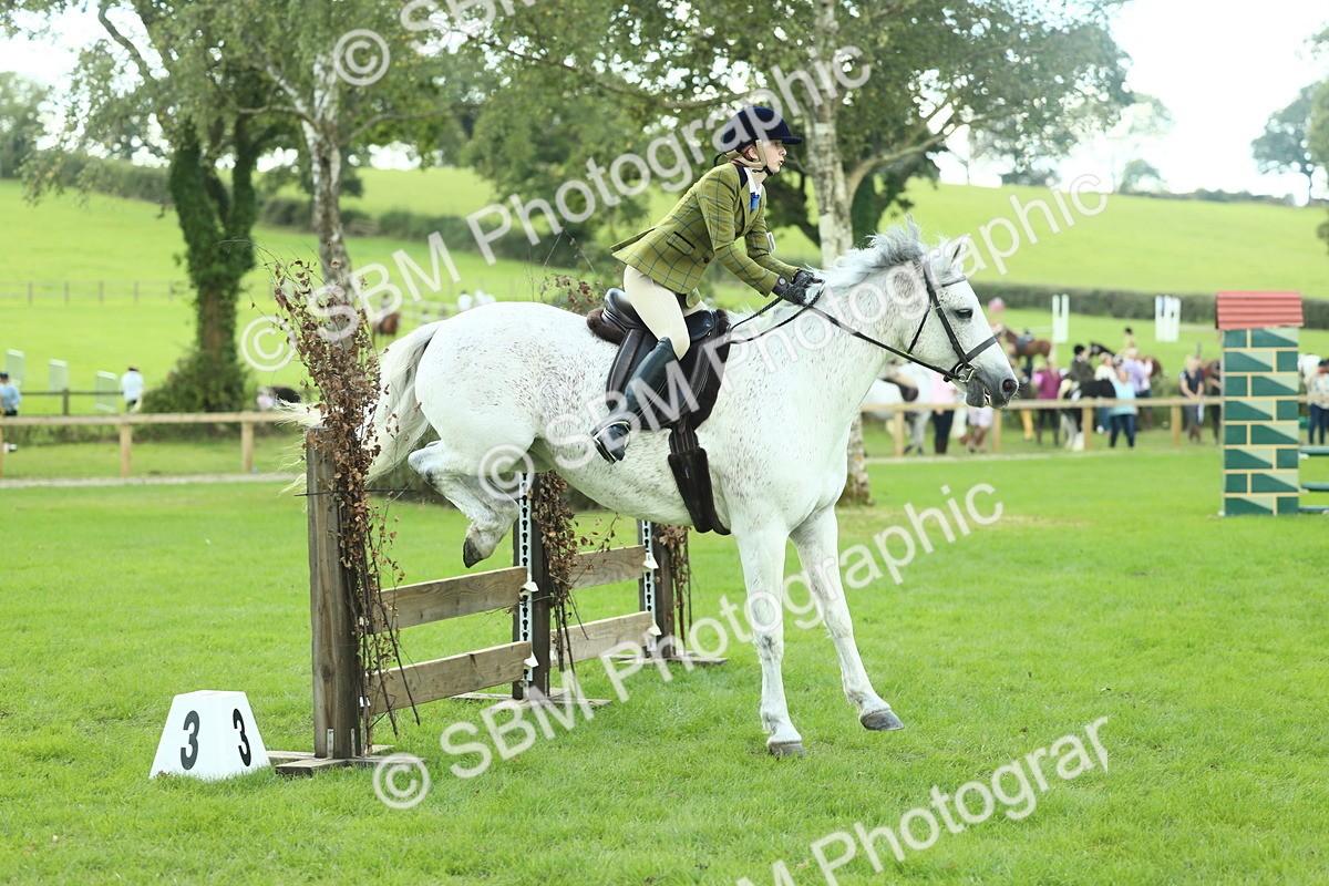 SBM_43029 - S30 - M&M Working hunter Pony