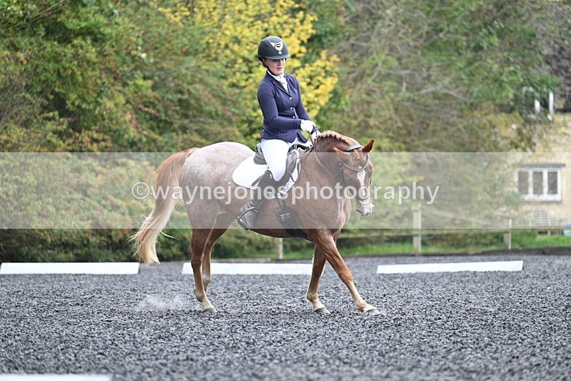 WJ7_3765 - Time 11:04 to 11:38