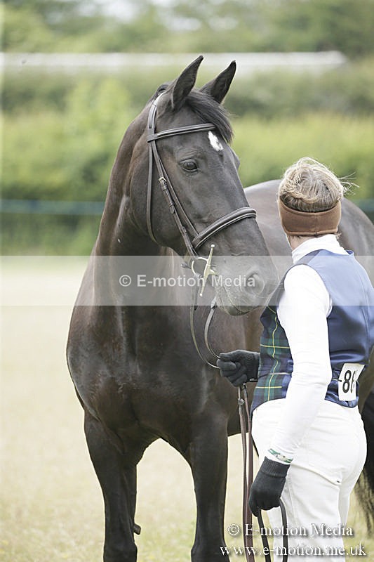 B230619-0505 - Bourne Valley Riding Club Summer Show 23/06/19