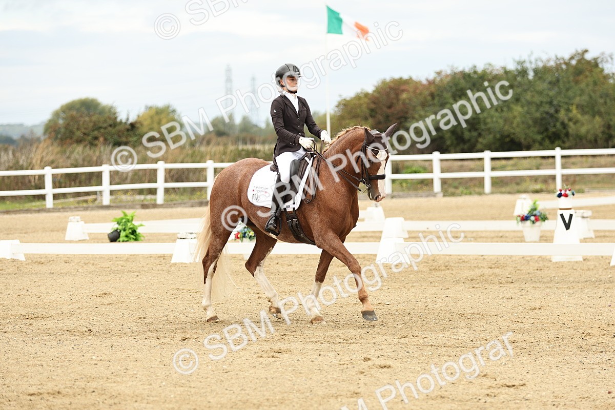 SBM_006527 - Class 21 - Medium 5 Bronze - 9.08-9.48