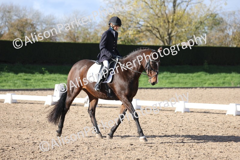 20251101-0615 - Class 5 - Novice 3