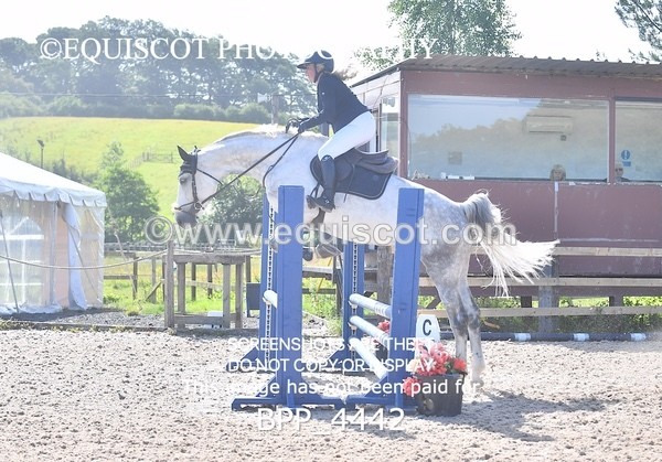 BPP_4442 - CLASS 2  Club/ Unaffiliated 80cms Open