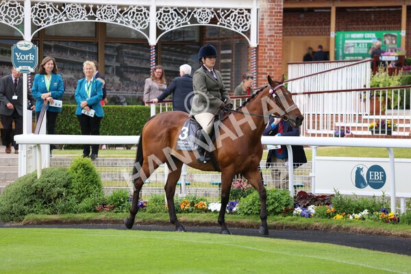 yr22052022r8e-108 - ROR - Parade Ring York