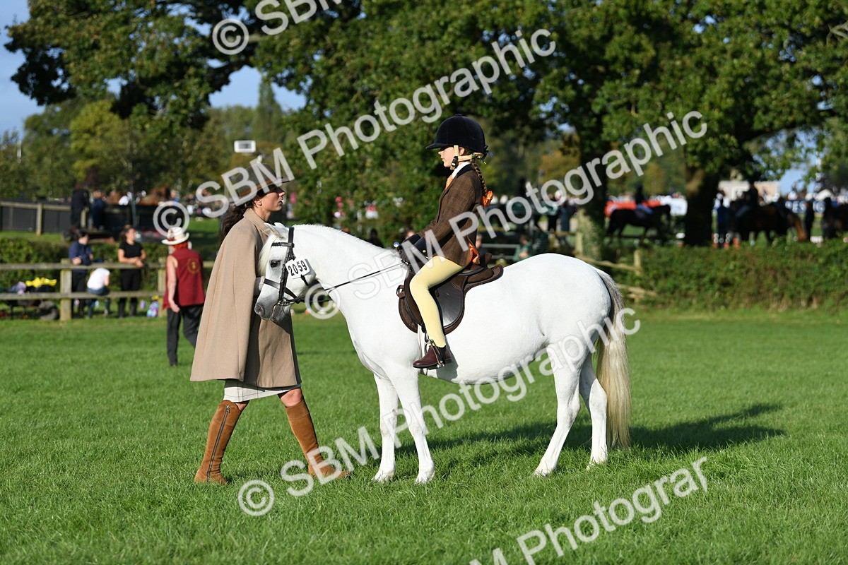 SBM_54046 - S23 - 1st Ridden Mountain & Moorland Pony