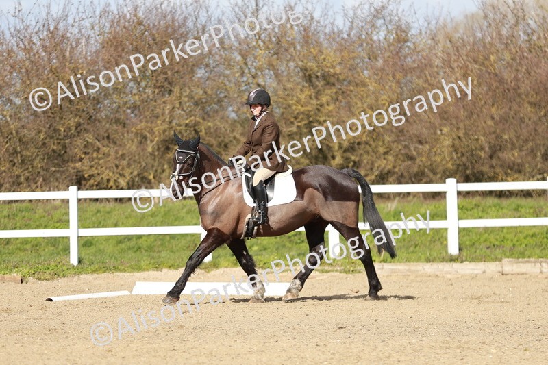 20260314-3030 - DR3 - Prelim 1