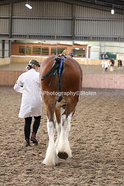 SIAL2080 - sunday 14th Set In Hand