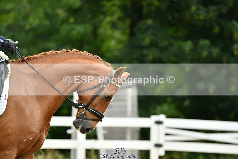 230701A-112733-04959 - Cls 9 Music Elementary