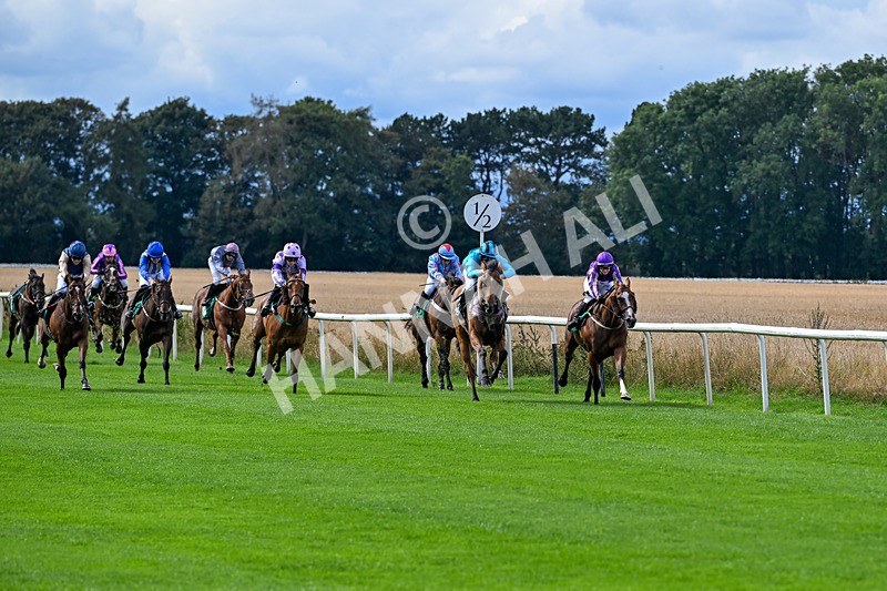 280826-Race 1-Hatamoto-4156 - Race 1 2.13pm AJA Novice Flat Amateur Jockeys' Handicap