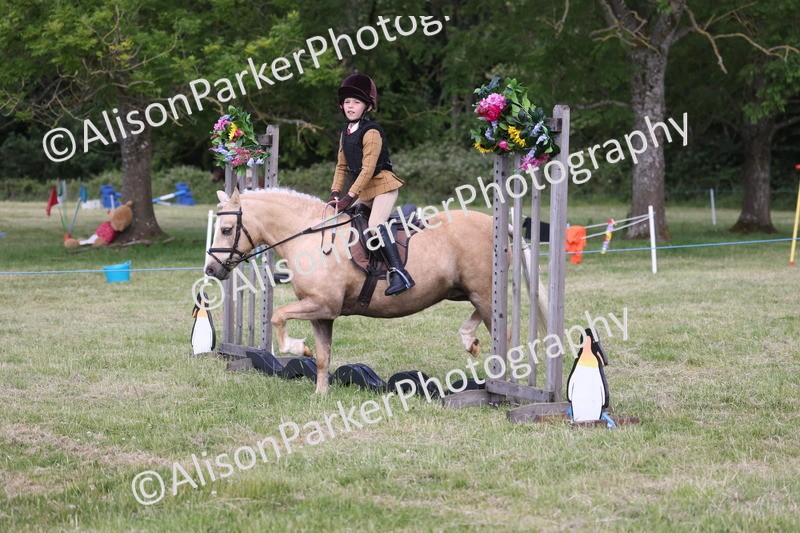 20260614-0455 - Class 20 - Beginners Working Hunter Pony
