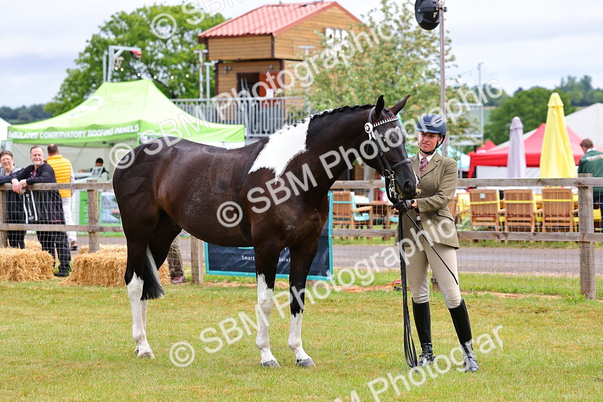 SBM_02540 - Class 9-11 Side Saddle including LIHS Rising Star Ladies Show Horse