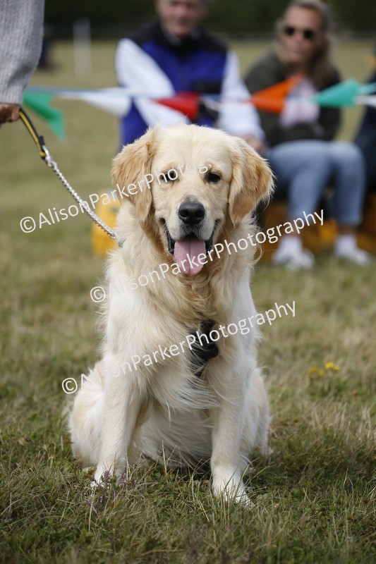 20250831-3641 - Dog Show