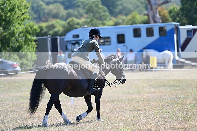 WJ7_4262 - Class 9 Mountain & Moorland Ridden