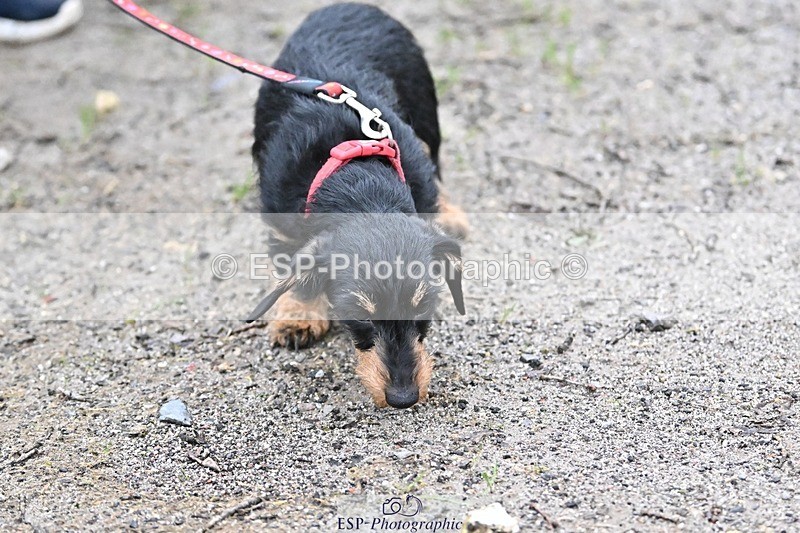 241206-144428-01149 - Naomi