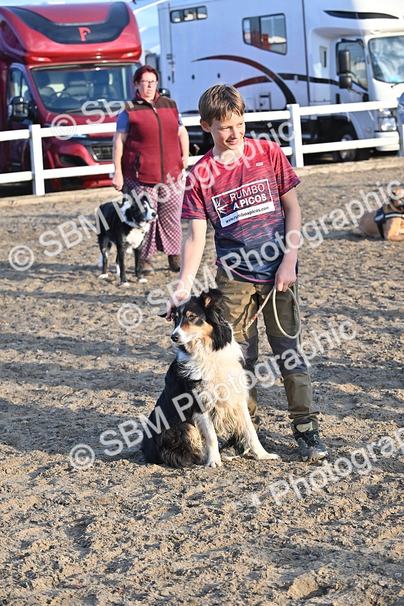 SBM_09495 - Lorry Dogs