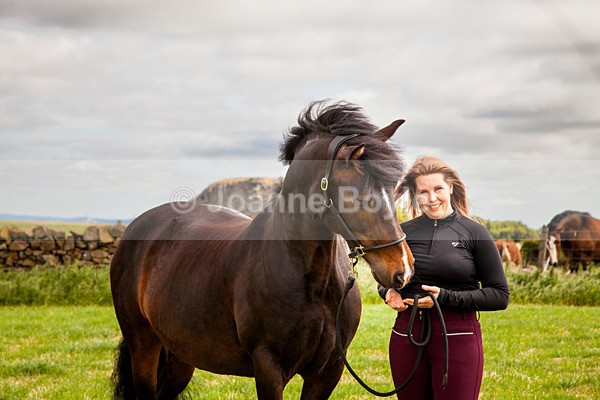  - Equine Gallery Portfolio