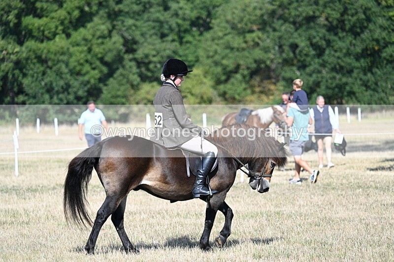 WJ7_2897 - Class 8 Ridden Tack & Turnout