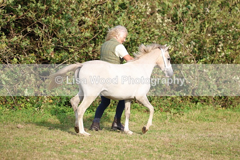 3E7A3156 - Class 12: M & M Small Breeds