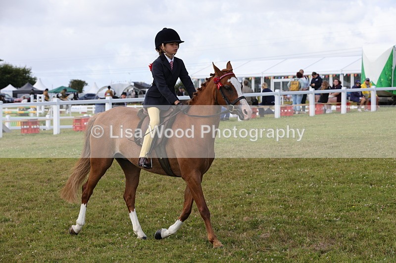 1X9A3909 - Class 31: Show Pony 148cm and under