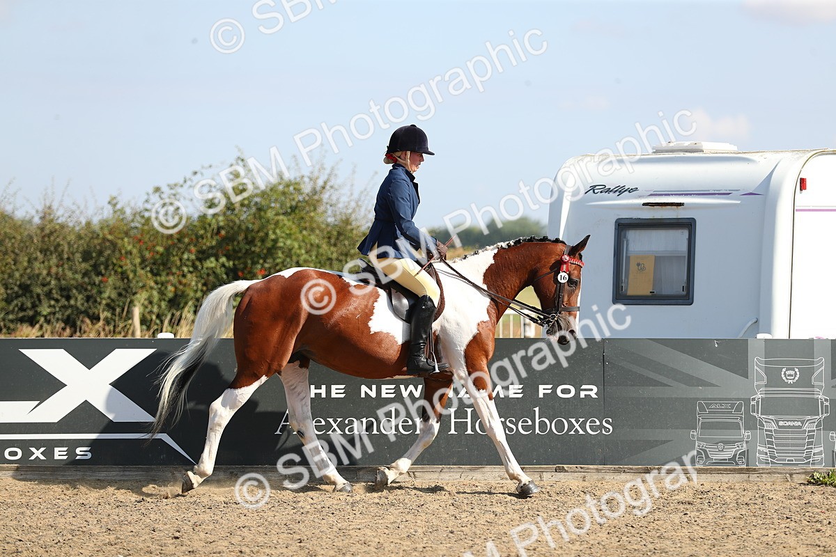 SBM_02288 - Class 43 Ridden Competition Horse/Pony