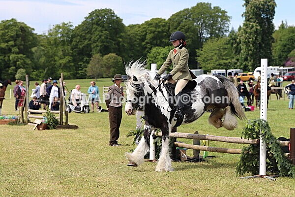 IMG_3167 - Working Hunter