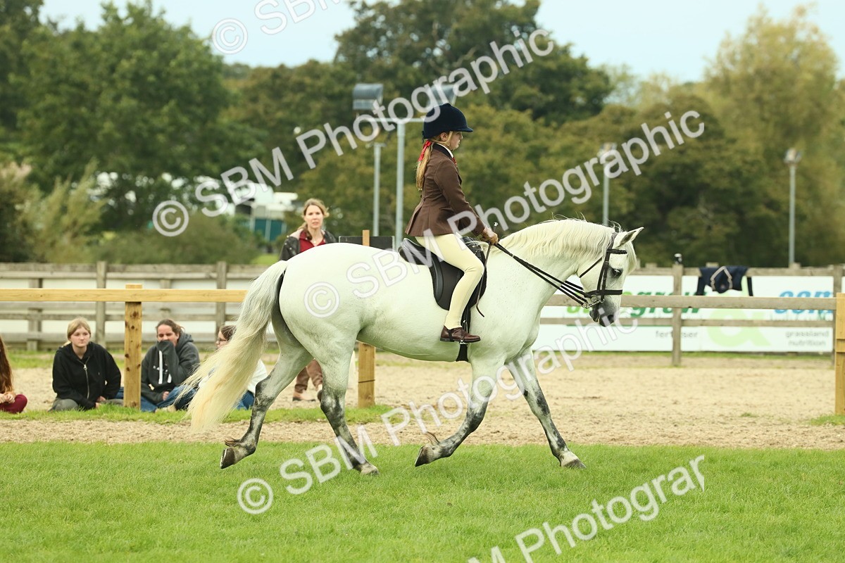SBM_72015 - S60 - Mountain & Moorland Ridden Large Breeds