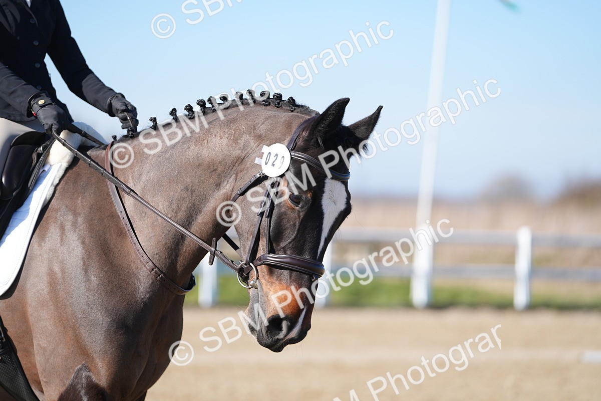 SBM_003320 - Class 3 - P2-80cm - E1