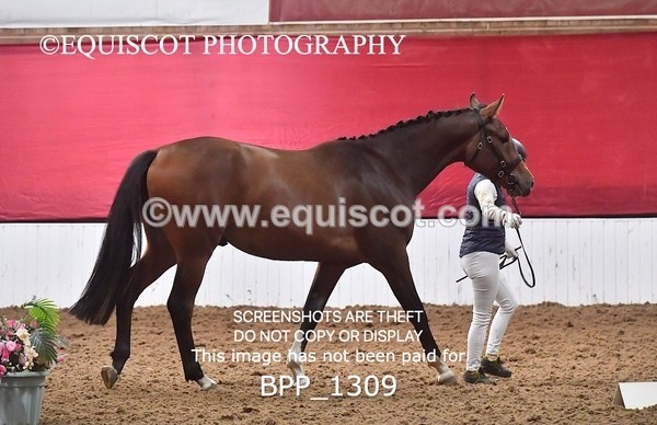 BPP_1309 - MORNING 9AM - 12PM