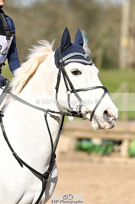 250302A-120605-01809 - Cls 02 80-85cm