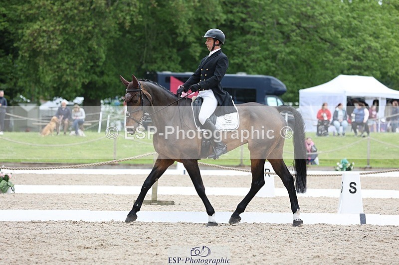 240523-160510-05893 - 323-EMERALD_ENDEAVOUR-Harry_Dzenis