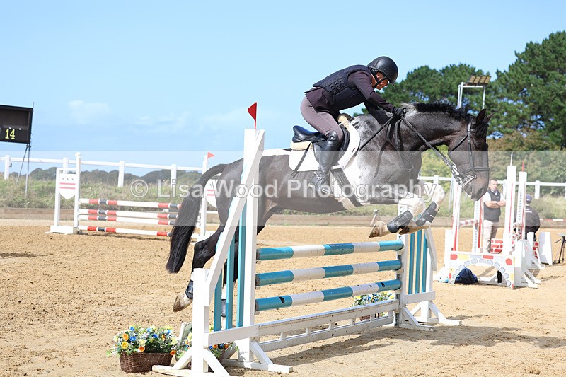 3E7A9241 - Class 9: Senior British Novice/90cm open