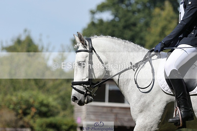 250823A-115617-29345 - Arena D