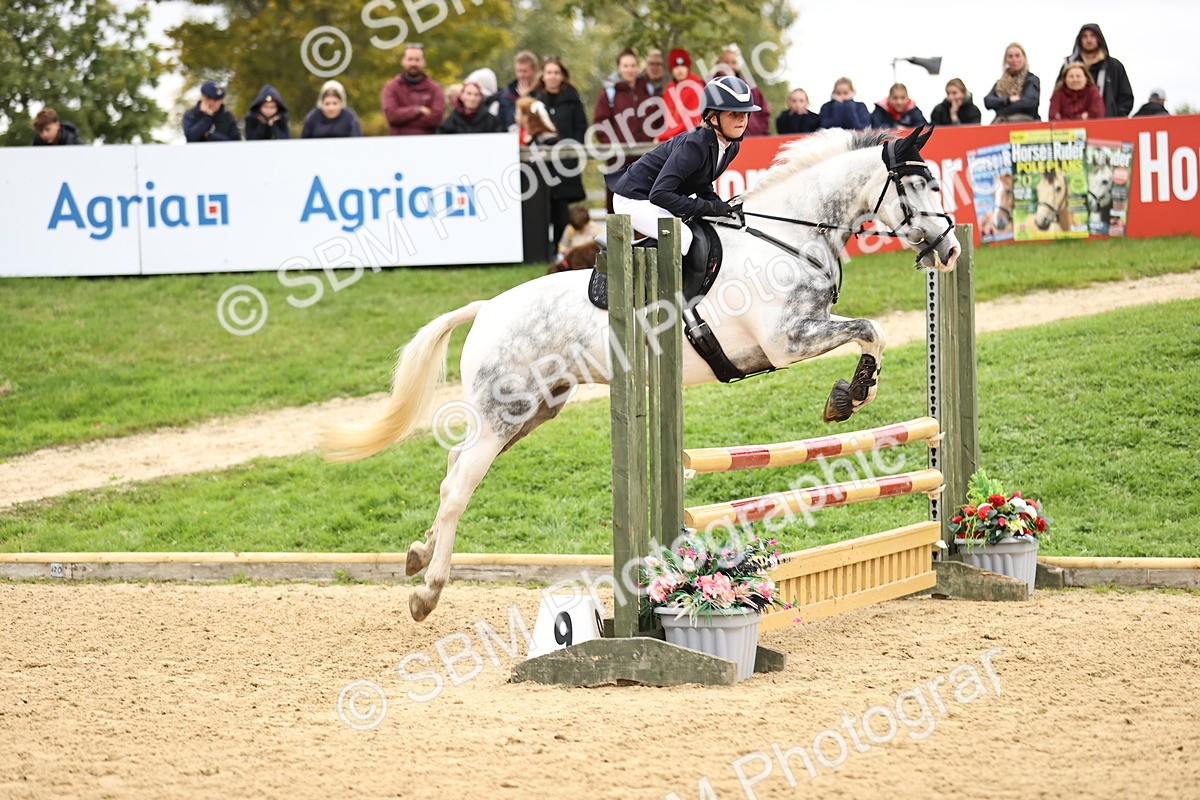 SBM_68726 - J18 - Junior Pony 85cm championship