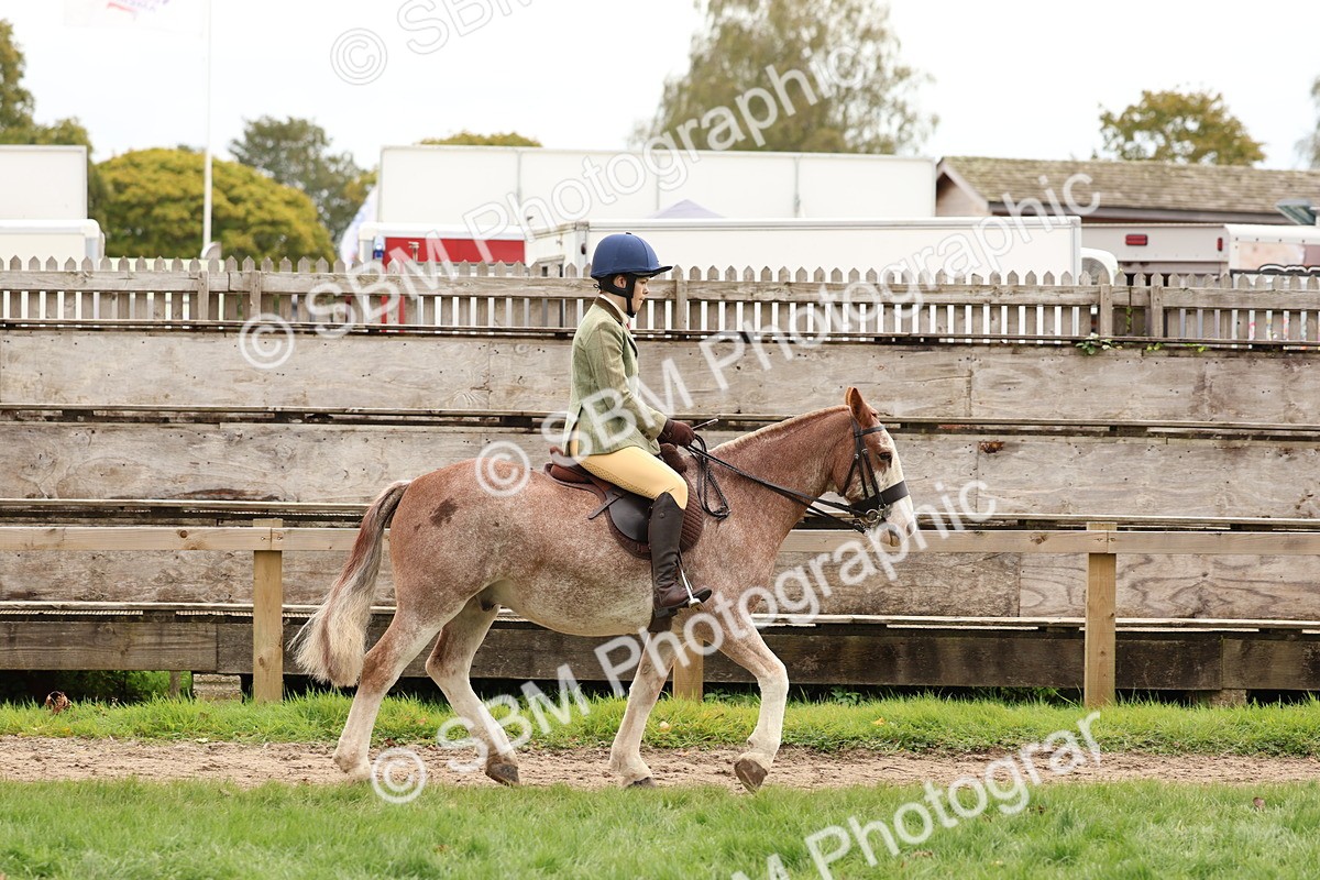 SBM_64437 - S58 - Coloured Pony Ridden