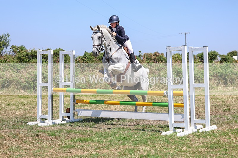 3E7A4387 - Class 10: Senior British Novice/90cm open