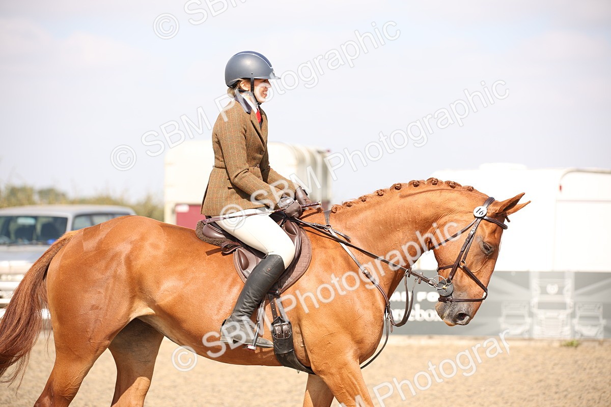 SBM_15006 - Class 408a - Working Veteran 70cm (15-19