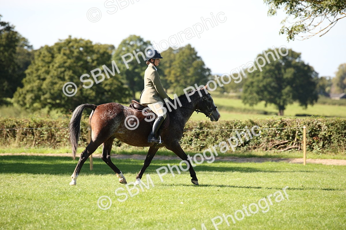 SBM_39004 - S11 - Best Ridden Horse & Pony